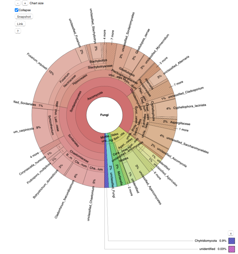 Profil du microbiome fongique